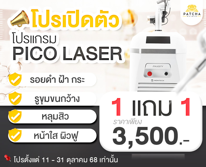 แบรนเนอร์-pico-MB