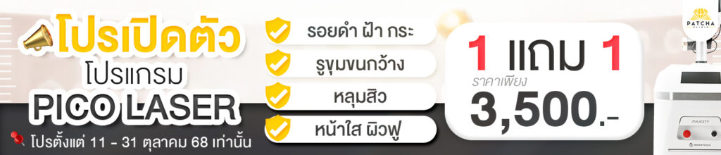 แบรนเนอร์-pico-PC