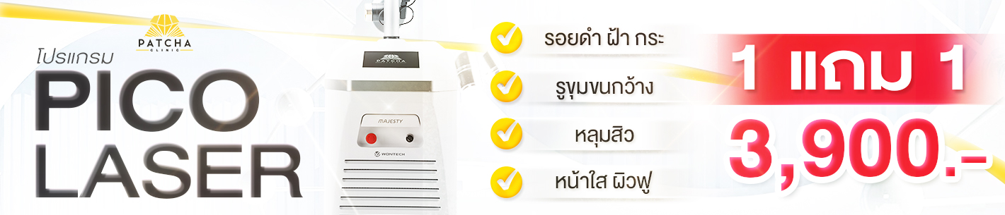 promotion Pico Laser1แถม1 PC